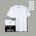 【公式】ヘインズ Hanes BEEFY-T Tシャツ 25SS BEEFY-T (H5180)★ビーフィー 半袖 白T 肉厚 ヘビーウェイト 厚手 タグ無 タグレス 綿100 コットン XS S M L XL パックT 無地