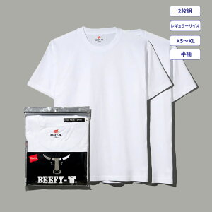 yzwCY Hanesy2gz2P BEEFY-T r[tB[ TVc 25FW BEEFY-T(H5180-2)  TVc T  T  wr[EFCg  ^O ^OX 100 Rbg pbNT pbNT n