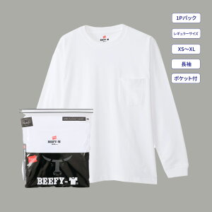 yzwCY Hanes BEEFY-T OX[u|PbgTVc 25FW BEEFY-T(H5196)r[tB[ T   wr[EFCg  ^O ^OX 100 Rbg pbNT n