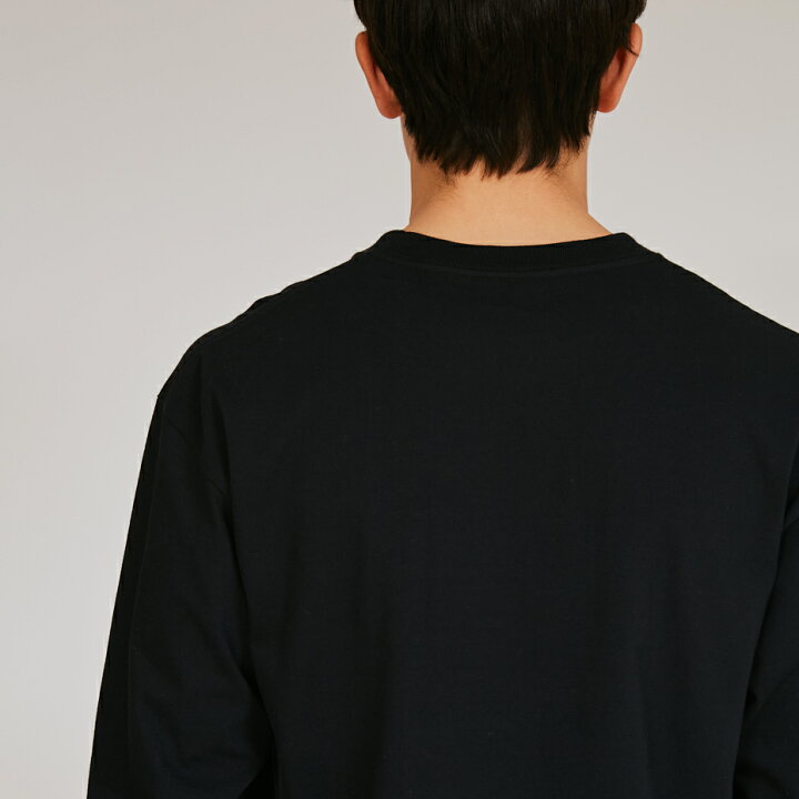 楽天市場】【公式】Hanes ヘインズ tシャツ【 2枚組 】2P BEEFY-T 