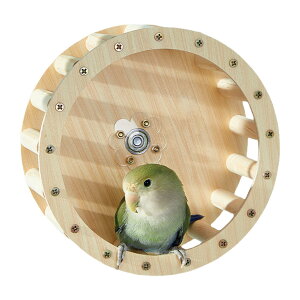 CRpjOzC[ | p ] ~܂ ,Ebhg[jOm\Q[ IJCR uo[h RW[p