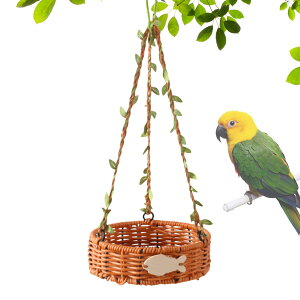 P[Wp̑ - IJCRp,lHBe[W҂ ʋC ȒP IJCR JiAp O o ̐H V