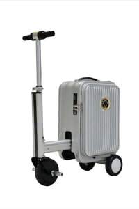 [] X[cP[X ו C`X}[gǐՉוAl̓d@݉וZLeBATSARrl[VbNAX[YȎgp (ubN)