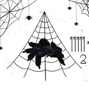 w偂̑ nEB i - ^nEBOpN̑fR[V | |[`   peBI  zf[ ~ tFXeBop sCȏ