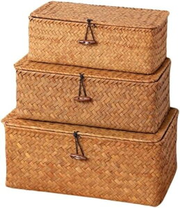 ҂ ٓVRf Wt oXPbg ho  P[X ҂܂ꂽ JS  a  Gݎ[ H|i ƒp (26*10*10cm,R[q[F)