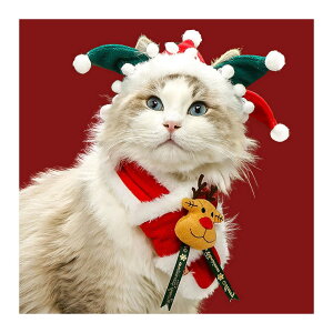 NX}Xybg XJ[t L RXv   ϐg lC LOBe ϐg T^ Xq