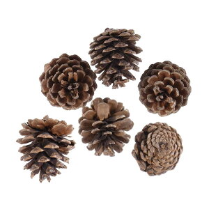 36VRH ڂ NX}Xc[ NX}X