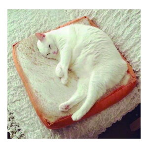 �L���[�g�� �H�p�� �N�b�V���� �t���A�N�b�V���� ������ ��������O�b�Y ���֎q �V�[�g�N�b�V���� �֎q ���֎q ���C�X �� ���� �֎q ���ԂƂ� ���K���ɂ��Ȃ�Ȃ� ����S�n���� �m�� ������