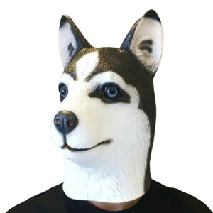 [Brfveob] nEB[ NX}X Aj} }XN n T   RXv   }XN