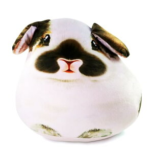 D15C`̃ETM̂ʂ݁A\tgł킢ETM̂ʂ݁AX[{fBs[fR[Vh[MtgAqA̎qAj̎q(uE)