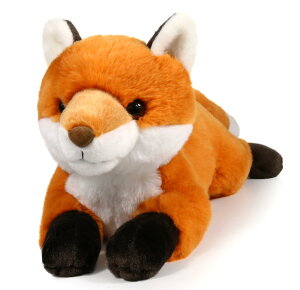 ACXLOxA 16C` AȃLcl̂ʂ 2|h ӂӂ\tgʂ TCY