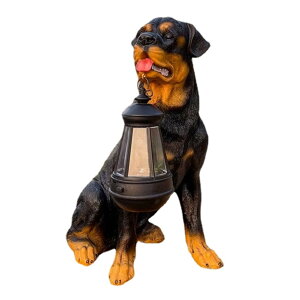 \[[CgtS[fgo[O z[K[fhv AȌ̒ȗ ^\[[t̒̒