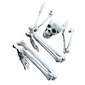 �n���E�B�� �[�� ���� ���W�� �A�[�� �荜 ���� 5�_�Z�b�g �X�P���g�� ���A�� �͌^ �� �S �H�� ���| �̎��� ���f�� �C���e���A �]�� �p�[�e�B�[ �O�b�Y ���������~ ���� �o�[ �X����