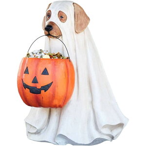 nEB  LfB{Ez_[  L̒u S[XgLbg hbO gbNIAg[g  J{`U A  IuWF nEB[  n