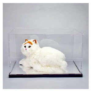 tBMAP[X AN RNVP[X K[WLbgRNVP[X ANI tBMA vf [{bNX tBMAP[X W fBXvCP[X