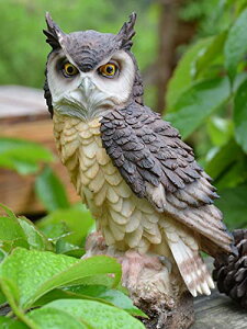 tNE u A ӂ낤 K[fI[ig  K[fIuWF K[fjO I[ig CeA i  N v[g   CÂ tNE v