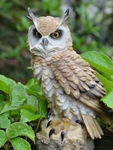 tNE u A ӂ낤 K[fI[ig  K[fIuWF K[fjO I[ig CeA i  N v[g   CÂ tNE v