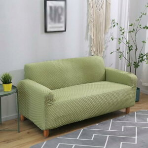 Xgb`fނ̃\t@Jo[ \t@Jo[ 145*185 2l| I \t@[Jo[ \t@ \t@[ 1 2lp Ik Lk Xgb` J[8 􂦂 Œ  CeA 