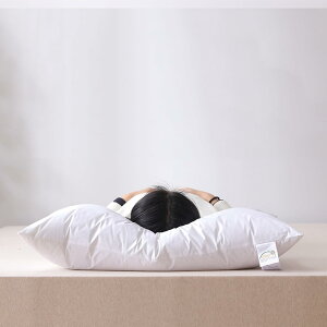  ܂74x48 O   QSnǂ  tBbg 􂦂  ̈U  l ʋC΂ zCg R L QΉ ̍\ QSñZ~OŃb