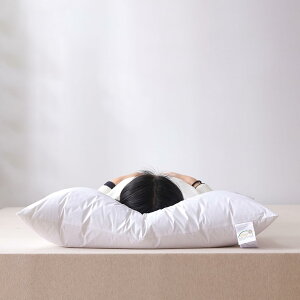  zedl ze܂ 48×74cm 􂦂 ze[h zCgf[ Mtg 48*74E v[g R hL QԂ  QSnǂ Ή ې􂢉\ ʋC ď_炩܂