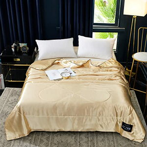 |zc Z~_u ʋC RۖhL |ӂƂ J[ I[V[Y ӂƂ VO 􂦂 180*220cm uPbg _u z v~A⊴ tďH y _炩ȔG ͂