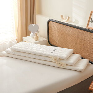 ������ ���� �J���[1 �傫���� �������� ���Q�T�|�[�g �y�� ���� �_�炩�� �s���[ ���K ���� �ӂ��ӂ� ���n �V���v�� �M�t�g �v���[���g �_�炩���� �ʋC�� 48*150B �������� �V�R�R�b�g�� �R��