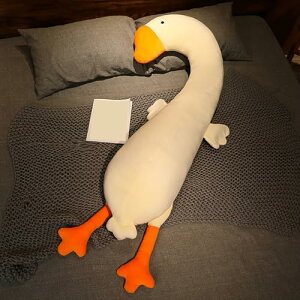    ʂ L ܂ 150cm j  􂦂 傫 ܂ O v[g 킢  CeA G w NbV LbY _Ci\[ q