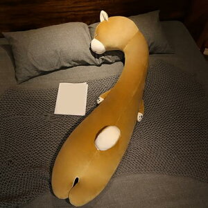    ʂ L ܂ 150cm j  􂦂 傫 ܂ O v[g 킢  CeA G w NbV LbY _Ci\[ q