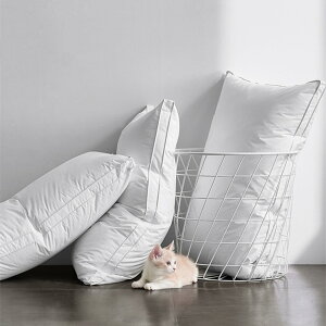  s[ ᔽ   ʋC zCg |GXe xbh 100% x̍d \tgT|[g n ܂ ze  50*70B ze܂  ې􂢉\  _炩 J