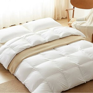 Hѕzc O[X_EHѕzc J[3 zCgO[X_E95 VO |zc _Ev[tn LOTCYHѕzc _u O[X_E y ʋC Hzc w cC