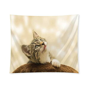 ^yXg[ Ǌ| L ȎqL L ybg 킢 Â 229cm×c152cm @\ z  @ubNpi  J[e Vj Mtg