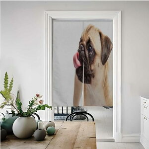 JX^̂ Lb`p J[e a g V[Y Ԏd؂ Ȗ rO[E|[`EʏE䏊p J[e 85x150cm pȌё悩킢̎ւT 686699