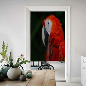 JX^̂ Lb`p J[e a g V[Y Ԏd؂ Ȗ rO[E|[`EʏE䏊p J[e 85x150cm H] tRXX z Vw  