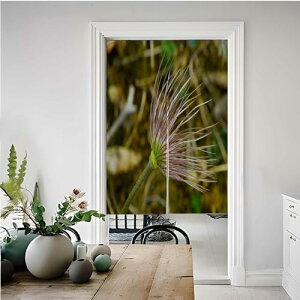 JX^̂ Lb`p J[e a g V[Y Ԏd؂ Ȗ rO[E|[`EʏE䏊p J[e 85x150cm H] tRXX z Vw  