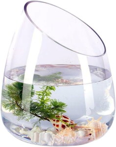   ^[g^N e[u KX e ANAE {E | ϗtA e CeA e IuWF eE ԕr  Ɏqr Ԋ t[x[X  (30 