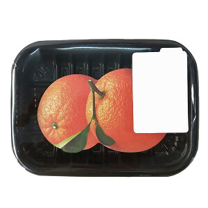 t ʔt mxeB S ӂ  t[c }C_[ 120×60 50