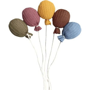 tFgo[ 5 VV[eBODZbg t fR[V ʐ^  a p[eB[ i