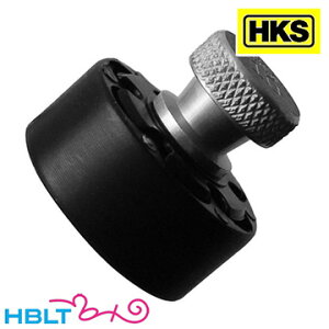 HKS Xs[h[_[ 10AiS&W M10 M19j