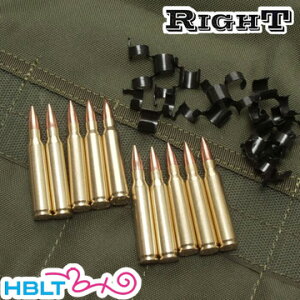 Right 5.56mm x 45mm NATO�e ���A���_�~�[�J�[�g�i10�� �x���g�����N�t�j
