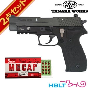 ^iJ[NX SIG P226 Mk25 Evolution 2 ALL HW ubN Ύ fK Lbv Zbg