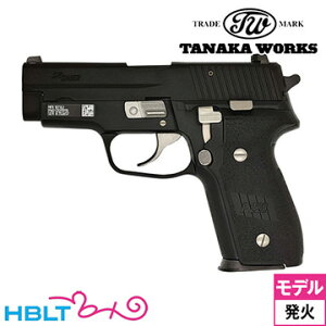 ^iJ[NX SIG P228 M11 Evolution 2 ALL HWiΎ fK {́j