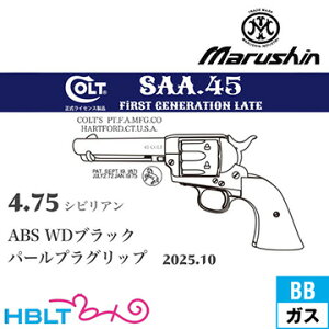 }V SAA 2025N10 p[vObv ABS WDubN 4.75 VrAiKXK {o[ XJ[gj