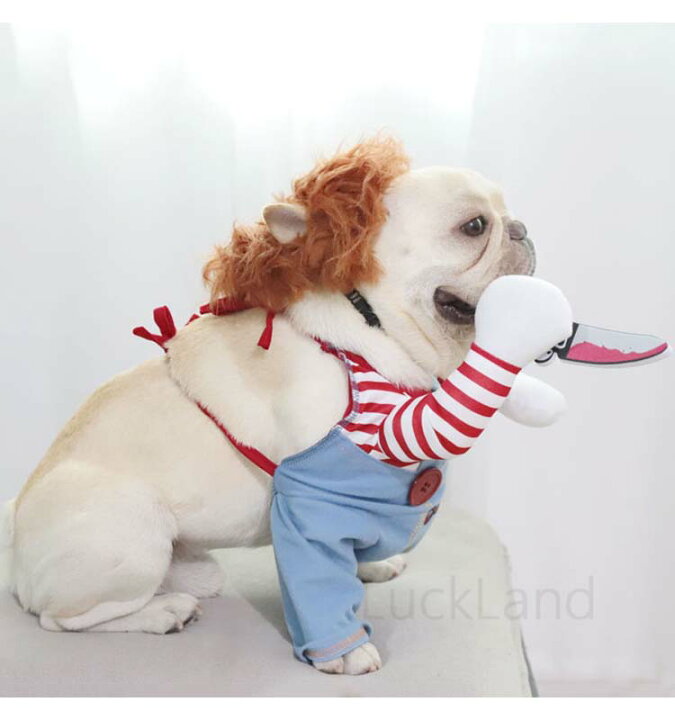 チャッキー ハロウィン コスチューム コスプレ ネコ ペット 二足歩行 仮装 変身 犬 犬服 衣装 最新作売れ筋が満載 犬服