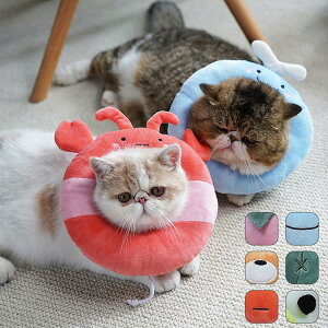 かわいい ドーナツ 犬用健康管理用品の人気商品 通販 価格比較 価格 Com