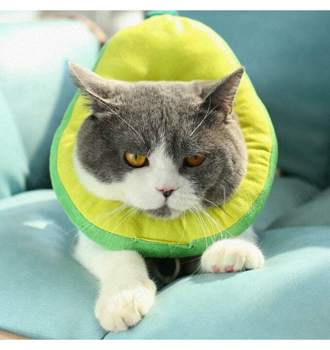 楽天市場 エリザベスカラー 犬 猫 ソフト ドーナツ クッション 果物模様 食べ物模様 5種類選べる ペット用品 首輪 エリザベスカラー 犬 猫 グッズ ソフト 調節可能 犬用品 猫用品 ペット 用品 引っ騒ぎ防止 ペットソフトエリザベスカラー Luckland