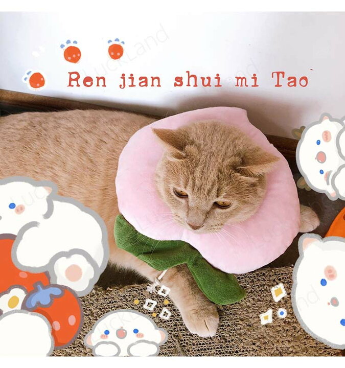 楽天市場 エリザベスカラー 犬 猫 ソフト ドーナツ クッション 果物模様 食べ物模様 5種類選べる ペット用品 首輪 エリザベスカラー 犬 猫 グッズ ソフト 調節可能 犬用品 猫用品 ペット 用品 引っ騒ぎ防止 ペットソフトエリザベスカラー Luckland