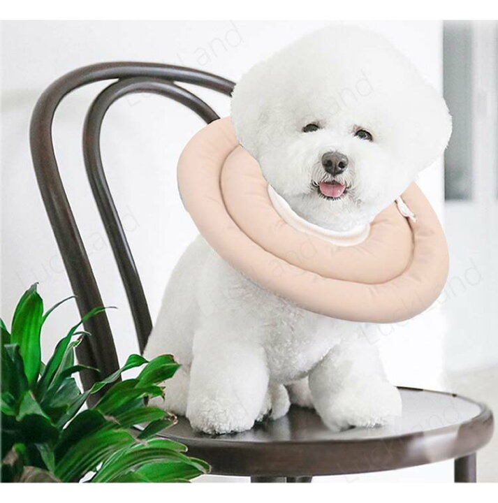 楽天市場 ペット用品 首輪 エリザベスカラー 犬 猫 グッズ ソフト ドーナツ クッション 大型犬 中型犬 ドーナツ 型クッション 手術後 去勢 皮膚病 怪我 傷 舐め防止 保護 丸い 調節可能 防水 速乾 無地 7colors 介護用品 ペットグッズ Luckland