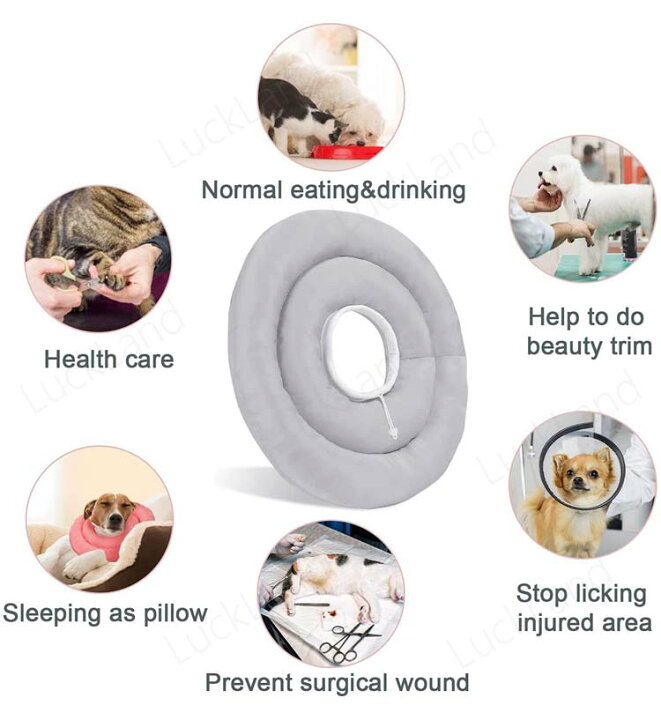 楽天市場 ペット用品 首輪 エリザベスカラー 犬 猫 グッズ ソフト ドーナツ クッション 大型犬 中型犬 ドーナツ 型クッション 手術後 去勢 皮膚病 怪我 傷 舐め防止 保護 丸い 調節可能 防水 速乾 無地 7colors 介護用品 ペットグッズ Luckland