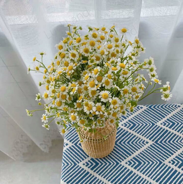 楽天市場 フラワーベース アンティーク 花瓶 おしゃれ 一輪挿し ガラス 北欧 枝物 大きい 透明 花びん 手編み藤 ナチュラル 個性的 ビンテージ プレゼント用 ギフト 造花 書斎 玄関 リビング 卓上飾り テーブル飾り インテリア 観葉植物 ガラス花瓶 Luckland 楽天市場 フラワーベース アンティーク 花瓶 おしゃれ 一輪挿し ガラス 北欧 枝物 大きい 透明 花びん 手編み藤 ナチュラル 個性的 ビンテージ プレゼント用 ギフト 造花 書斎 玄関 リビング 卓上飾り テーブル飾り インテリア 観葉植物 ガラス花瓶 Luckland