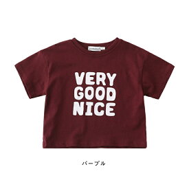 tシャツ ペアtシャツ 親子服 tシャツ レディース メンズ リンクコーデ 親子お揃い ペアルック 親子コーデ 半袖 tシャツ パパママキッズ ペアルック tシャツ 夏 海遊び カップル お揃い服 親子ペア 子供服 ご家族お揃い ママと娘 父と息子 プレゼント